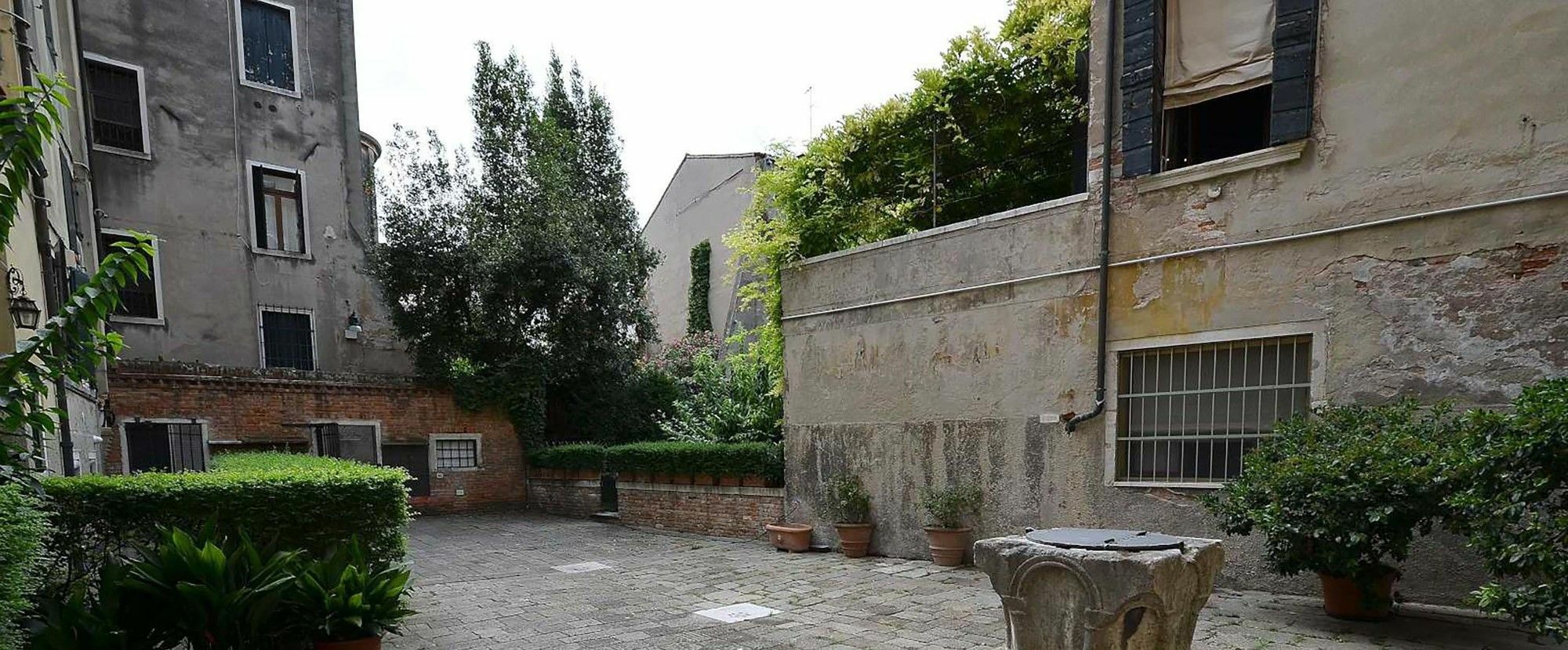 Tribuno Grand Canal Venezia Eksteriør bilde