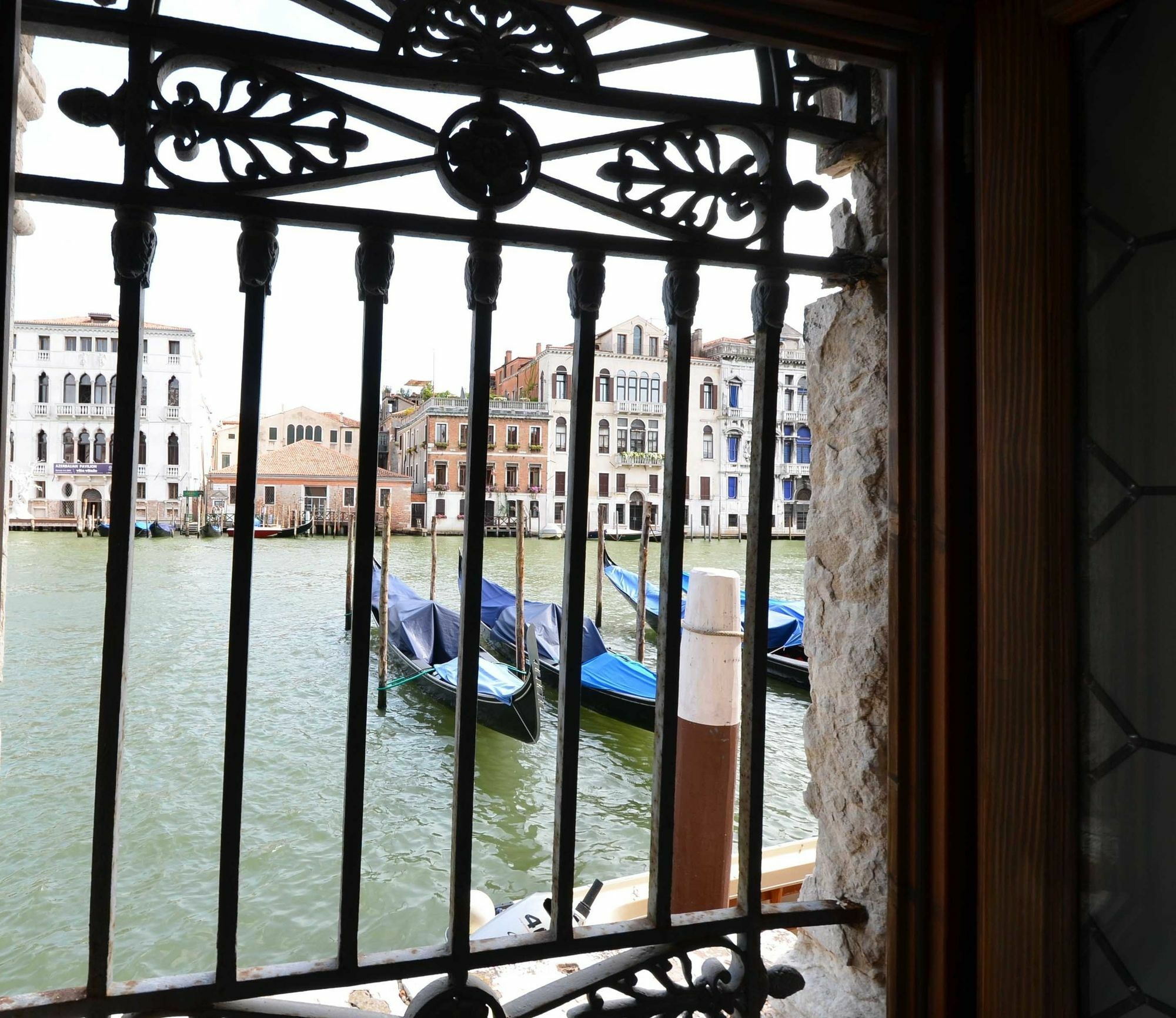Tribuno Grand Canal Venezia Eksteriør bilde